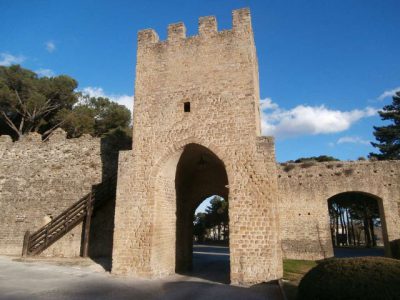 gabbiano-e-dintorni